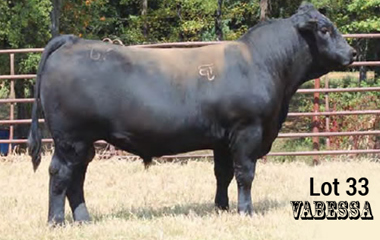 Lot 33 - TJB 056X MASTER PLAN 4106C ET